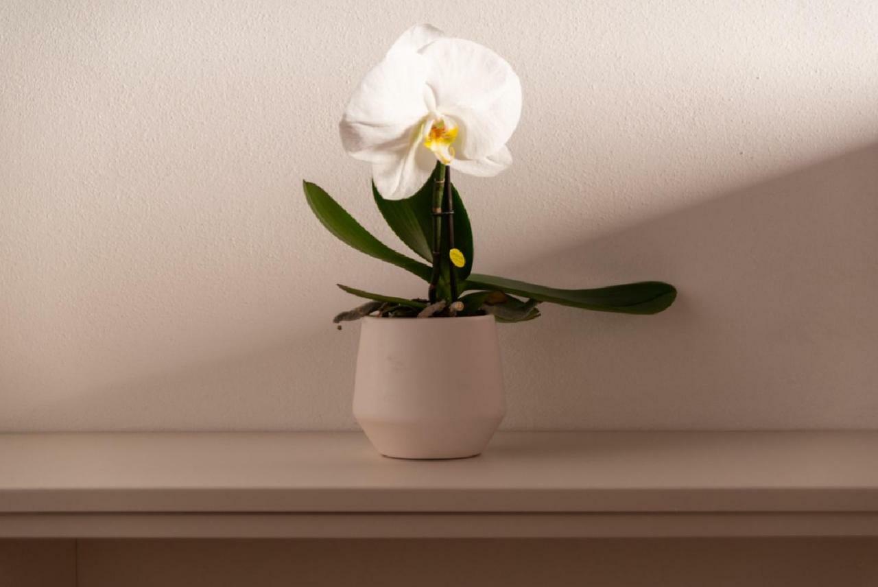 Like A Miracle Apartment Venesia Bagian luar foto